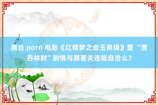 黑丝 porn 电影《红楼梦之金玉良缘》里 “贾吞林财”剧情与原著关连能自洽么？