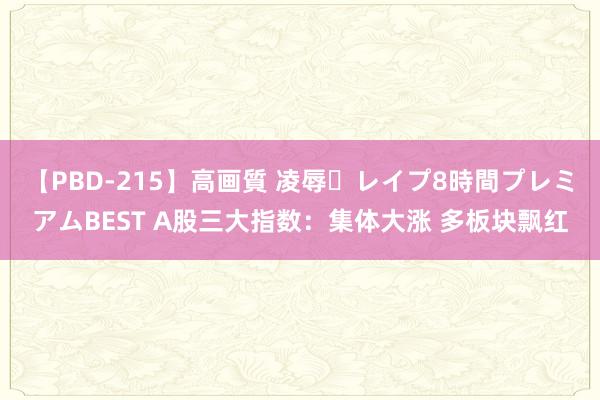 【PBD-215】高画質 凌辱・レイプ8時間プレミアムBEST A股三大指数：集体大涨 多板块飘红