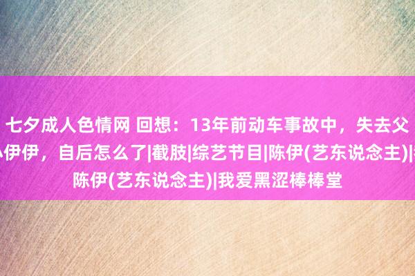 七夕成人色情网 回想：13年前动车事故中，失去父母幸存下来的小伊伊，自后怎么了|截肢|综艺节目|陈伊(艺东说念主)|我爱黑涩棒棒堂