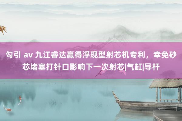 勾引 av 九江睿达赢得浮现型射芯机专利，幸免砂芯堵塞打针口影响下一次射芯|气缸|导杆